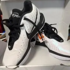 LEBRON XXIII EP 26cm 『カラーボルトティント』 新品 - メルカリ