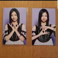 乃木坂46 川端晃菜 Same numbers ミニ生写真 セミ