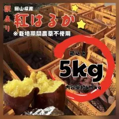 【さつまいも】紅はるか 野菜 5kg 栽培期間農薬不使用【大感謝価格】