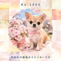 Item thumbnail for item b8495f59-794e-46c7-9678-0e992eb9680a