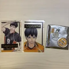 ハイキュー FAN PARK カード miniフィギュア 影山飛雄