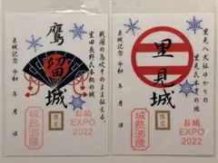 Item thumbnail for item 3ab69a2e-2a6c-4041-aa9d-78f73c95b00e