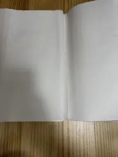 Item thumbnail for item 223e38fa-dddb-4909-b9e7-a55bf727c56a