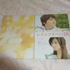 レインツリーの国 クリアファイル