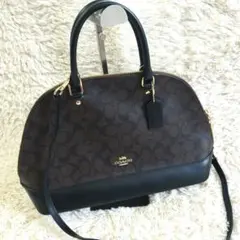 COACH ハンドバッグ ショルダーバッグ ブ シグネチャー 美品