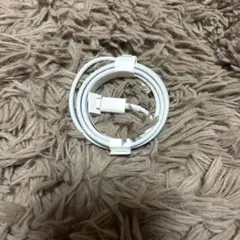 正規品Appleライトニングケーブル　タイプC 充電器純正品