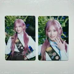 イソ タレントカード