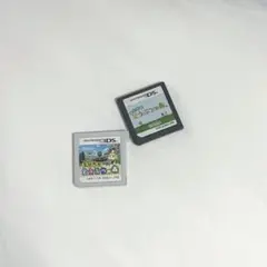 とびだせどうぶつの森　おいでよどうぶつの森　DS 3DS カセット　動作確認済み