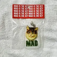 ym様 リクエスト 2点 まとめ商品