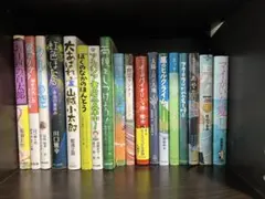 高学年〜中学生くらいのお子様に児童書18冊のまとめ売りです。