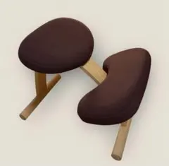 ⭐️バランスイージー ⭐️バランスラボ ⭐️バランスチェア⭐️カバー2色付き⭐️送料無料