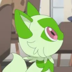 専用