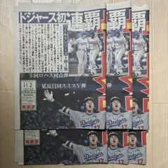 gemgem様 リクエスト 2点 まとめ商品