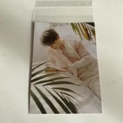 ディノ　ミニカード　　your choice