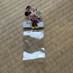 ミニーマウス 東京ディズニーランド