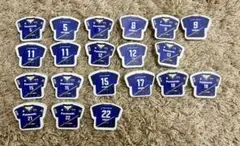 【バラ売り可】パナソニックパンサーズ バッジ20個 大阪ブルテオン バレーボール