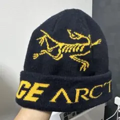 2025年最新】palace arc'teryx ビーニーの人気アイテム - メルカリ