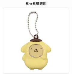 【ちっち様専用】サンリオフォトフレームマスコット2