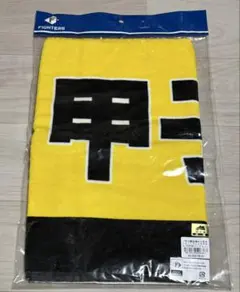 Item thumbnail for item 5c6f7b4b-9785-4209-a0b8-002afeb0c198