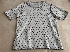 Item thumbnail for item 37c55663-1c43-437d-8eb9-3668388ac191