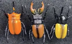 ⭐️値下げ⭐️昆虫型プルバックカー3種セット