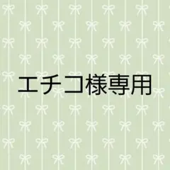 【エチコ様】シークレット　ムーミン刺繍ブローチコレクション