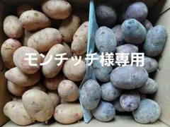モンチッチ様専用！俵アルタイル彦星、俵マゼランじゃがいもSM10㎏