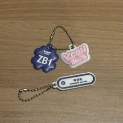 2026年最新】グループ名：ZEROBASEONE K-POP キーホルダーの人気