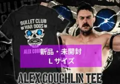 Item thumbnail for item 38f2f052-1f2e-4df3-be72-9993e0c8e65e