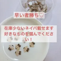 早い者勝ち① ネイパ ネイルパーツ デコ ハンドメイド A〜F