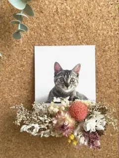 ドライフラワー　フォトスタンド