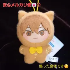 氷の城壁 きぎゅるみマスコット 着ぐるみ ぬいぐるみ 雨宮湊 ①のサムネイル
