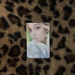 NCT 127 FACT Check ヘチャン トレカ