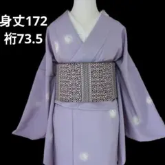 夏のお着物】 洗えるお着物 さんび 紗 小紋 未使用 トールサイズ