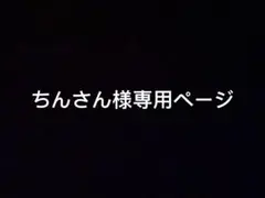 ちんさん様専用ページ