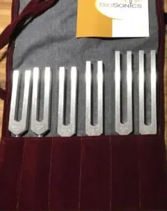 Item thumbnail for item 3d23c466-d5c8-47ae-a693-604757cec69a