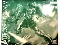 【PB限定】MG アルトロンガンダム EW版 未組立 PB限定】MG アルトロンガンダム EW版 未組立 - メルカリ
