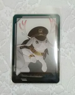 【匿名配送】ミルグラム アクカ ジャッカロープ
