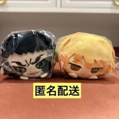 鬼滅の刃　もちころりん　獪岳　善逸　ぬいぐるみマスコット