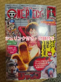 ONE PIECE ワンピースマガジン 20号 プロモ　ルフィ　未使用　新品