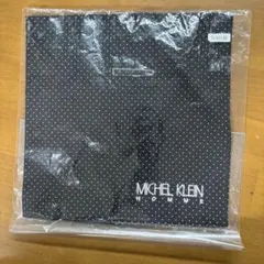 Item thumbnail for item 9e2c43b9-02fd-4502-b6ef-d261a8ca7a74