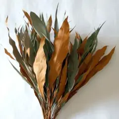 うーたん様 リクエスト 2点 まとめ商品