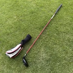 ロイヤルコレクション