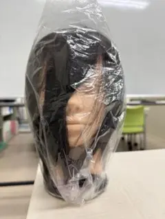 Item thumbnail for item 2521211e-1af4-443c-a7ca-832de07b99c8