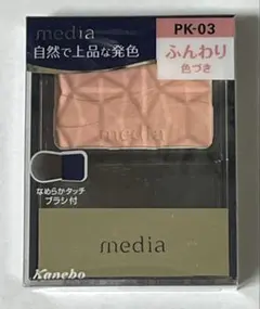 Item thumbnail for item 0971fc7d-8458-47c2-bbaa-ce552d89837f