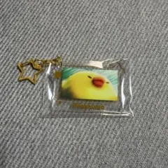 リラックマ　エニマイくじ F賞 箔押しアクリルキーホルダー キイロイトリ