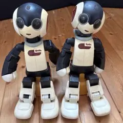 Robiのサムネイル