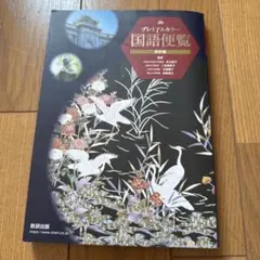 Item thumbnail for item 5bc129e3-85ca-4e4e-af50-e7afa358f31d