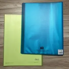 Item thumbnail for item 47a1cc6a-b19e-493d-9e0a-2b0e77659f18