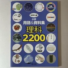 Item thumbnail for item 75eb04bb-12ff-475b-81cd-ba844b95c510